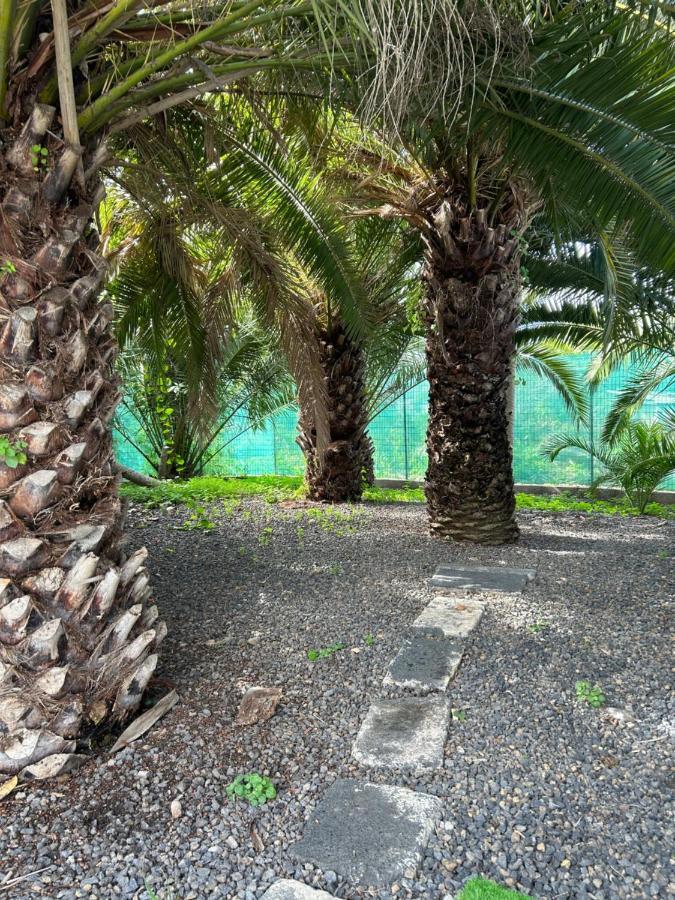 ラ・オロタバ Casa Beatrizヴィラ エクステリア 写真